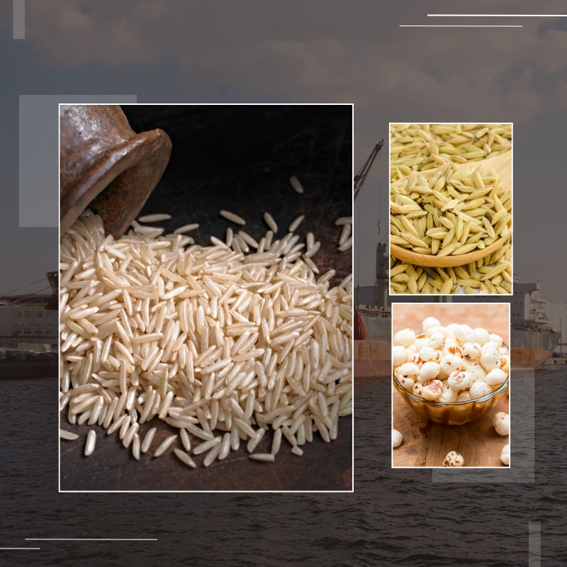 About Black Pearl Export